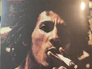Bob Marley - Catch a Fire, Tuff Gong #1755 Jamaica Reissue Brand New  Vinyl LP