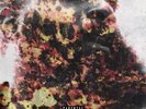 DARK LO/V-DON CHARLIE POPE NEW LP