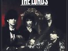 Method to Our Madness by Lords of the New Church Drastic Plastic Records Red