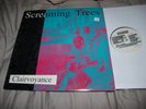 Screaming Trees Clairvoyance LP on Velvetone (VST86002) 1986 Lanegan