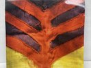 Yeah Yeah Yeahs Show Me Your Bones LP 2006