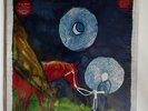 Calexico + Iron & Wine IN THE REINS Vinyl LP Record NM/VG+ Never Played