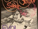 Sonic Youth ‎– EVOL VINYL LP Goofin' Records ‎Goo 019 2015 Mike Watt Lydia Lunch