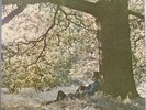 YOKO ONO PLASTIC ONO BAND VINYL LP APPLE UK 1970 FIRST PRESSING 1U/1U MATRIX EXC