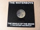 THE WATERBOYS-THE WHOLE OF THE MOON 1991 12