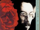 Elvis Costello - Mighty Like A Rose - Gold Color Vinyl Record 180g Import