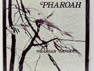 Pharoah Sander on India Navigation 1027