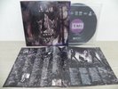 Poison - Native Tongue 1993 KOREA Vinyl LP W/Insert