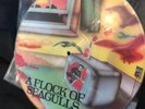A FLOCK OF SEAGULLS - A FLOCK OF SEAGULLS PICTURE DISC HOP X 201 WITH AUDIO