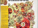 OMNIBUS  2-LP (+7-Inch) 1970 New Jersey psychedelic rock reissue fuzz classic