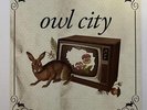 [Japan Used Record] Owl City Fireflies Inch Vinyl