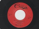 ROCKABILLY 45 - JIMMY SUN and the RADIANTS - MOLLY TEN BROOKS - HEAR - 1961 CUCA