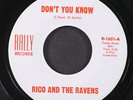 RICO & RAVENS: don't you know / in my heart RALLY 7