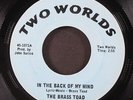 BRASS TOAD: in the back of my mind / easy to be hard TWO WORLDS 7