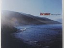 Incubus 