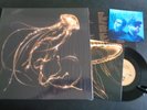 ROYAL BLOOD BACK TO THE WATER LTD GFOLD MARBLE LP + BONUS 7