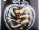 Vintage 1981 Whitesnake 