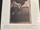 Pixies - Surfer Rosa, vinyl 1988 LP