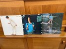 James Taylor Gorilla Mud Slide Slim One Man Dog vinyl record albums LPs