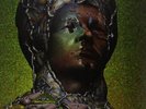 Yeasayer Odd Blood (Vinyl) (US IMPORT)