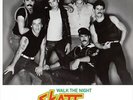 SKATT BROS. Walk The Night RSD 12