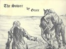 VINYL RECORD ALBUM LP THE SOWER GRACE IN ARCHIVIST PSYCH FOLK ROCK XIAN