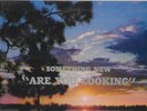 THE SOMETHING NEW ARE YOU LOOKING CENTURY RECORDS PSYCH FOLK XIAN LP ARCHIVIST