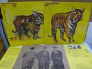 Speed, Glue & Shinki / Same, Rare Japan Press 2LP w/OBI & Inserts Psych MINT