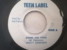The Mighty Diamonds - Shame And Pride / Jah Lloyd - Chant
