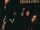 The Black Crowes - Shake Your Money Maker 2015 Dutch 180 Gram Vinyl LP New