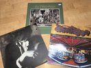 waterboys vinyl Lps