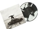 The 1975 - Being Funny In A Foreign Language Picture Disc Vinyl LP Low Number