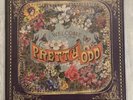 Panic At The Disco - Pretty. Odd. Hot Topic Purple Vinyl