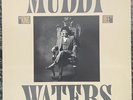 MUDDY WATERS “King Bee” 1981 Gold Stamped Promo  Near Mint All Around