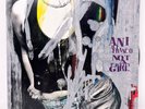 Ani Difranco Not A Pretty Girl 2LP Vinyl Record RBR007-V