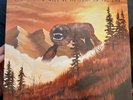 Everything Will Be Alright in the End Weezer Vinyl Rare Barely Played Free Ship