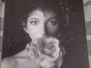 KATE BUSH - REMASTERED IN VINYL 2. BOXSET. 4LP'S.