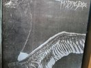 My Dying Bride - Turn Loose the Swans - 2LP Gatefold - 1st Pressing - Peaceville