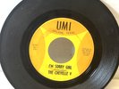 Killer Rare Garage Psych / Texas Punk 45 Chevelle V Five Come Back Bird -Listen