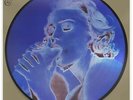 Madonna - Erotica 30th Anniversary - Picture Disc Vinyl - BRAND NEW SEALED