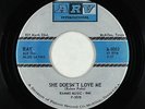 Northern Soul 45 - Ray & Blue Satins - She Doesn't Love Me - ARV Int'l - rare