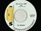 Northern Soul 45 - Radiants - One Day I'll Show You - Chess - VG+