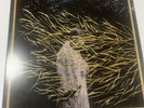 Forest Swords Engravings Vinyl Gold and black LIMITED EDITION Vinyl Me Please
