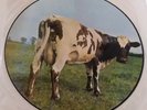 Pink Floyd LP Atom Heart Mother - Picture Disc