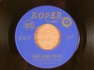The Grapes Of Wrath  Time Seems To Fly/Baby Come On Home  RARE  Garage