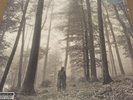 TAYLOR SWIFT - Folklore (2xLP Deluxe Edition 2020 Brown 
