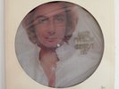 Barry Manilow - Greatest Hits - DOUBLE LP PICTURE DISC - USA VINYL - A2L 8601