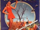 NO DOUBT - Tragic Kingdom (reissue) - Vinyl (LP)