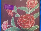 Todd Rundgren Something/Anything Terre Haute Gatefold 1972 EX/EX 2BX 2066 Poster