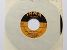 JOHNNIE FULLER first stage of the blues US 45 BLUES RnB 7” * LISTEN *